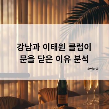 강남과 이태원 클럽이 문을 닫은 이유 분석
