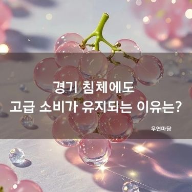 경기 침체에도 고급 소비가 유지되는 이유는?