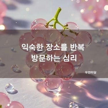 익숙한 장소를 반복 방문하는 심리