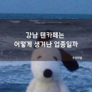 강남 텐카페는 어떻게 생겨난 업종일까