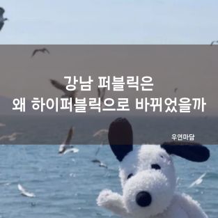 강남 퍼블릭은 왜 하이퍼블릭으로 바뀌었을까